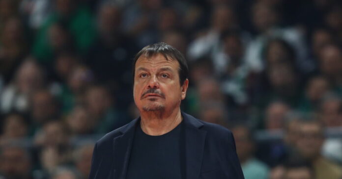 ataman 9 1200x630.jpg