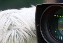 aulhtikes metadoseis kamera eurokinissi 1200x630.jpg