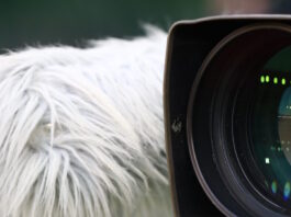 aulhtikes metadoseis kamera eurokinissi 1200x630.jpg