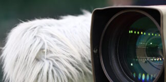 aulhtikes metadoseis kamera eurokinissi 1200x630.jpg