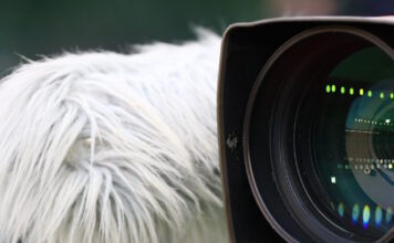 aulhtikes metadoseis kamera eurokinissi 1200x630.jpg