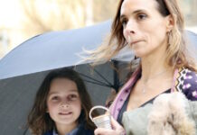 brad ndp3 1200x630.jpg