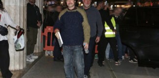 brad1 ndp 1200x630.jpg