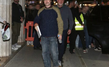 brad1 ndp 1200x630.jpg