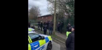 bretania norwich x 1200x630.jpg