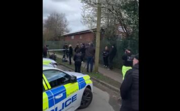 bretania norwich x 1200x630.jpg