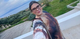 danai barka 1200x630.jpg