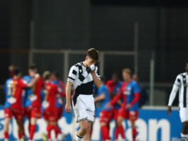 delias 2 1200x630.jpg