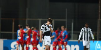 delias 2 1200x630.jpg