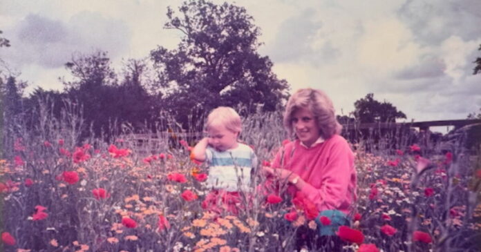 diana 1200x630.jpg diana 1200x630.jpg