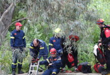 diaswstes eurok 1200x630.jpg