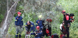 diaswstes eurok 1200x630.jpg