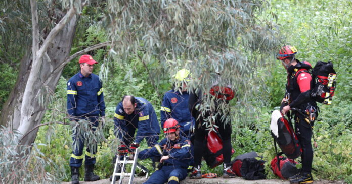 diaswstes eurok 1200x630.jpg