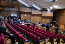 diki xrysi avgi 1200x630.jpg