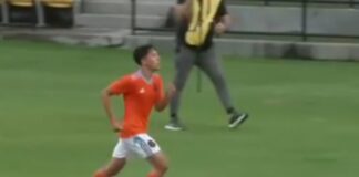 dimarelli 1200x630.jpg