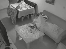 dimona x 1200x630.jpg