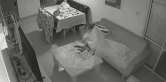 dimona x 1200x630.jpg