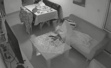 dimona x 1200x630.jpg