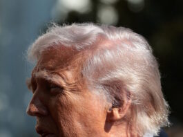 donald trump 05032026 1200x630.jpg