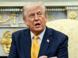 donald trump 6 1200x630.jpg