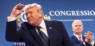 donaldtrump 1200x630.jpg