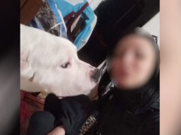 egkuos kolonos 1200x630.jpg