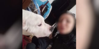 egkuos kolonos 1200x630.jpg