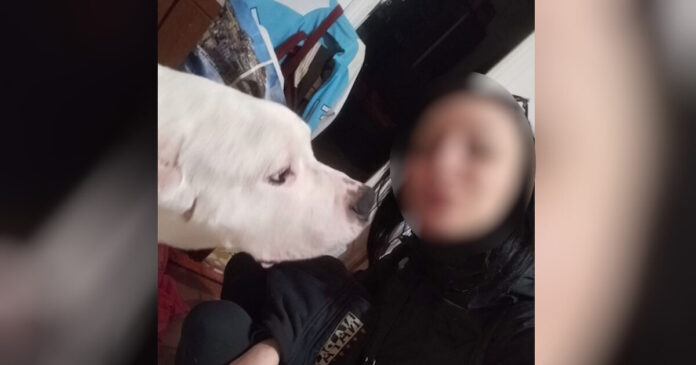 egkuos kolonos 1200x630.jpg