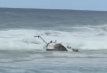 elikoptero 1200x630.jpg