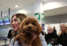 epanapatrismoi katoikidia 1200x630.jpg