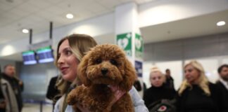 epanapatrismoi katoikidia 1200x630.jpg