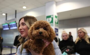 epanapatrismoi katoikidia 1200x630.jpg