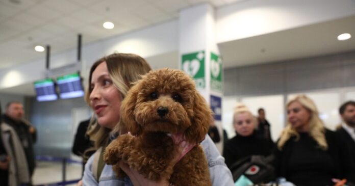 epanapatrismoi katoikidia 1200x630.jpg