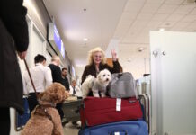 «Συγκινητικές σκηνές» στην Αθήνα – Μεγάλο ενδιαφέρον διεθνών ΜΜΕ για την ελληνική επιχείρηση επαναπατρισμού κατοικιδίων από τη Μέση Ανατολή epanapatrismos 2 1200x630.jpg