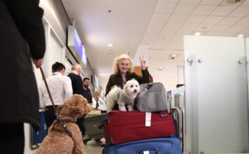 epanapatrismos 2 1200x630.jpg