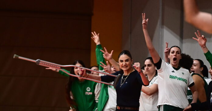 erdem1 1200x630.jpg erdem1 1200x630.jpg