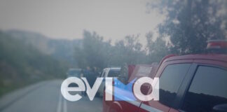 evoia pezoporoi 07032026 1200x630.jpg