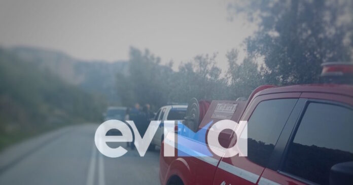 evoia pezoporoi 07032026 1200x630.jpg