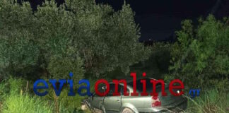 evoia3 24032026 1200x630.jpg