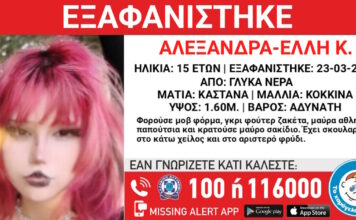 exafanisi 24032026 1200x630.jpg