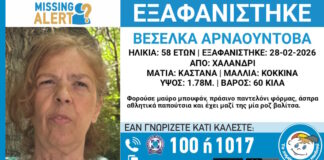 exafanisi2 03032026 1200x630.jpg