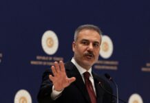 fidan turkey 1200x630.jpg