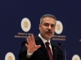 fidan turkey 1200x630.jpg