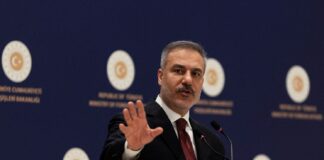 fidan turkey 1200x630.jpg