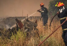 fotia 08032026 1200x630.jpg