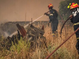 fotia 08032026 1200x630.jpg