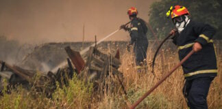 fotia 08032026 1200x630.jpg