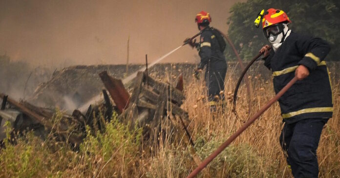 fotia 08032026 1200x630.jpg