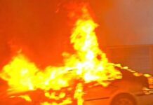 fotia althea 1 1200x630.jpg