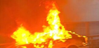 fotia althea 1 1200x630.jpg